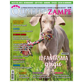 Picture for category ABBONAMENTI QUATTROZAMPE