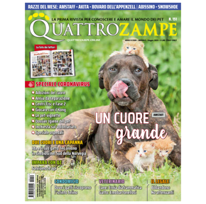 Picture for category ARRETRATI QUATTROZAMPE