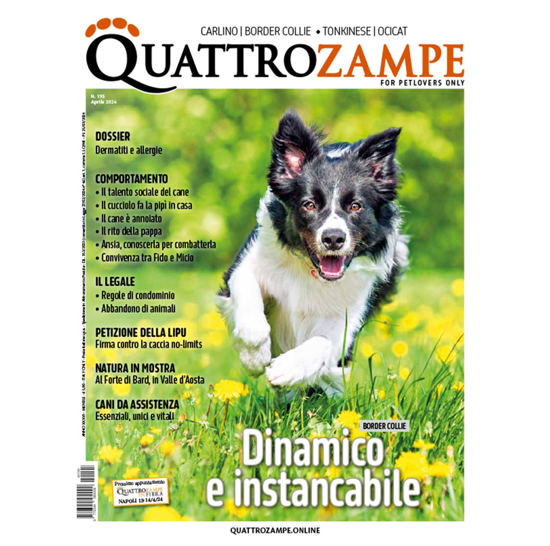 Picture of QUATTROZAMPE - 2024/04 ARRETRATO Italia