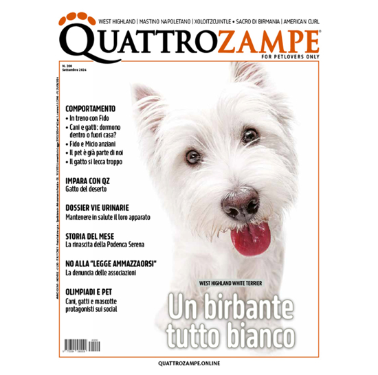 Picture of QUATTROZAMPE - 2024/09 ARRETRATO Italia