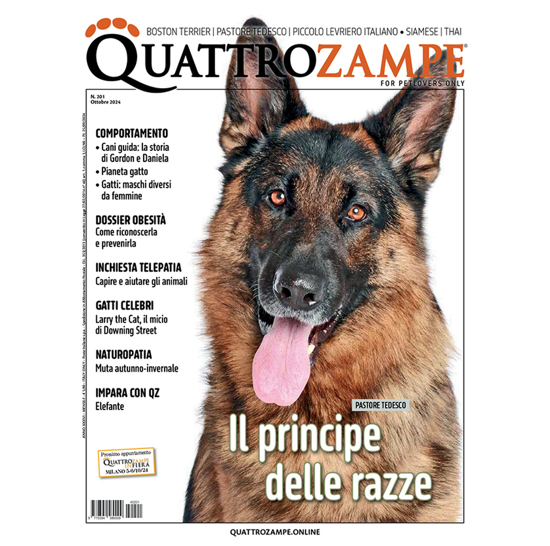 Picture of QUATTROZAMPE - 2024/10 ARRETRATO Italia