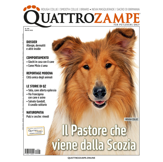 Immagine di QUATTROZAMPE - 2 ANNI ABBONAMENTO Italia