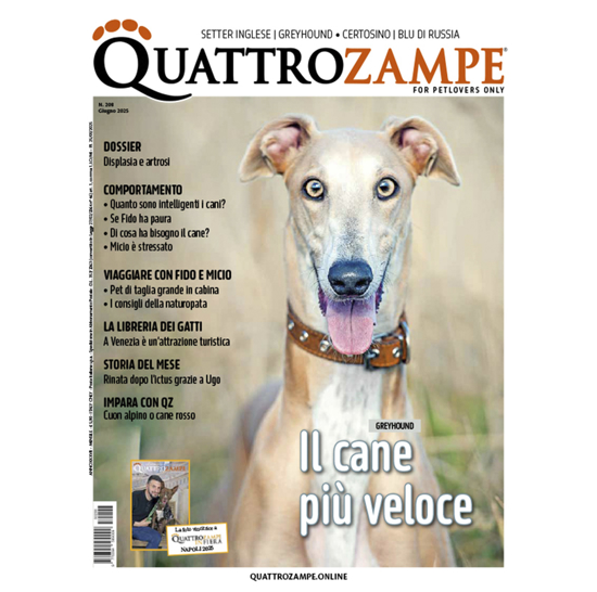 Immagine di QUATTROZAMPE - 1 ANNO ABBONAMENTO Italia