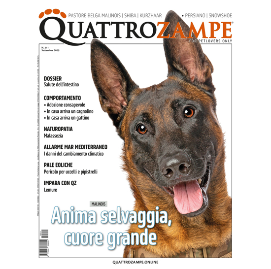 Immagine di QUATTROZAMPE - 1 ANNO ABBONAMENTO Italia