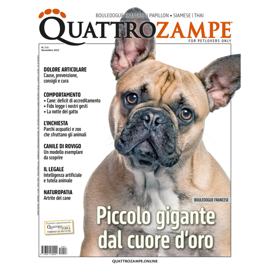 Picture of QUATTROZAMPE - 2 ANNI ABBONAMENTO Italia